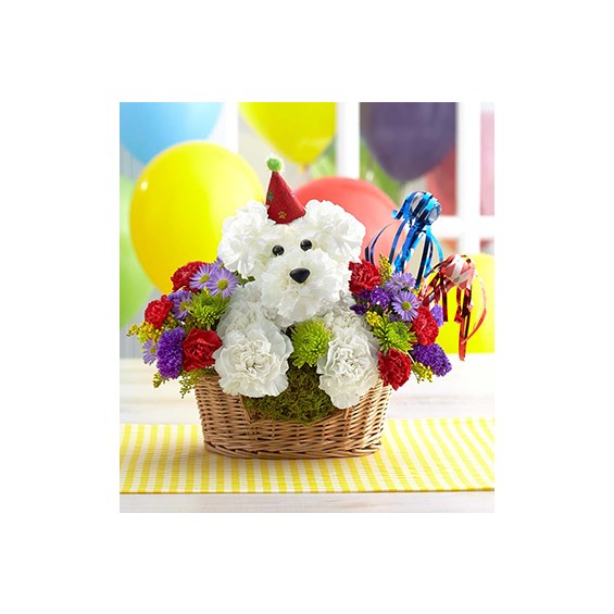 another-year-rover-flower-dog-in-a-basket-for -birthday-gift