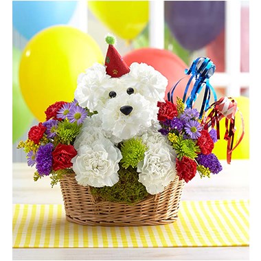 another-year-rover-flower-dog-in-a-basket-for -birthday-gift