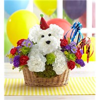 another-year-rover-flower-dog-in-a-basket-for -birthday-gift