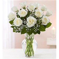 classic-dozen-white-roses-at-flowerama